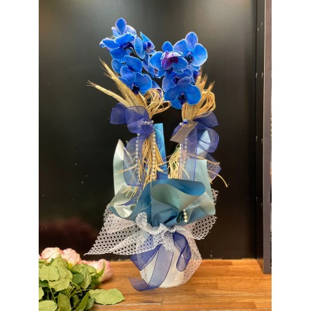 BLUE ORCHID